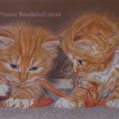 Logan & Theo - 46 hours
Brown Pastelmat
10.5" x 18.5"
From Spooky's 6th litter - 2004